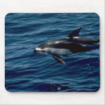 Pacific white-sided dolphin mousepads