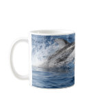 Pacific White Sided Dolphin mugs