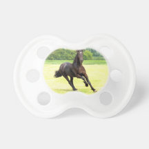 Pacifier QPC Template - Customized