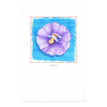 Paciflower posters