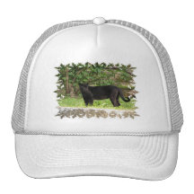 Pacing Panther Baseball Hat