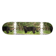 Pacing Panther Skateboard