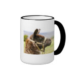 Pack camel mugs