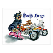 Pack Dogs Post Card
