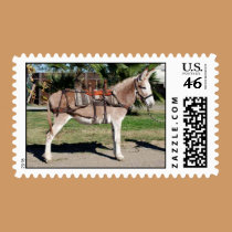Pack Donkey/Burro Stamps stamps