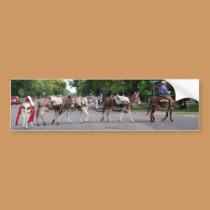 Pack donkeys bumper sticker bumper stickers