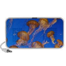 Pack of Jelly Fish speakers