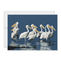 Pack of Pelicans in the Water Personalized Announcement