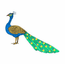 Packer Peacock photo sculptures