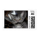 Packet of Ferris Mewler postage stamps.  For real.