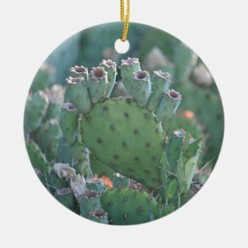 paddle cactus christmas tree ornaments from zazzle com paddle cactus christmas tree ornaments from zazzle com