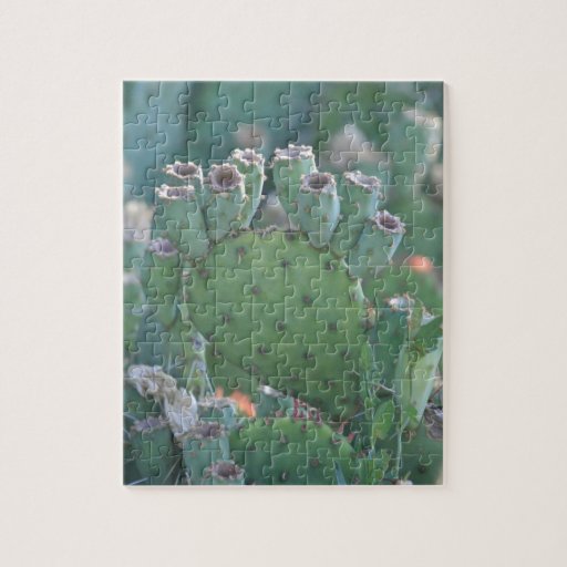 Paddle Cactus Jigsaw Puzzle Zazzle