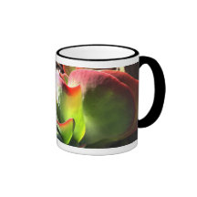 Paddle plant coffee mug