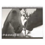 Paddock_Horses_Calender Calendars