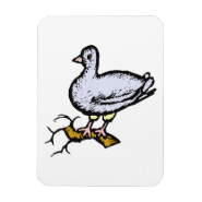 Paddy Pigeon.png Magnets