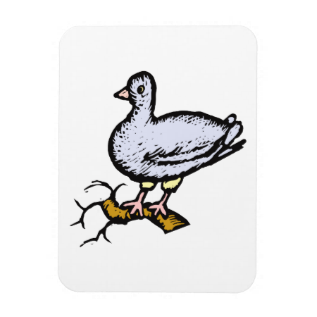Paddy Pigeon.png Magnets Paddy Pigeon.png Magnets