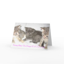 Padme, Anakin and Leia Notecards