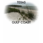 PADRE ISLAND T-SHIRT
