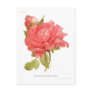 Paeonia moutan var Reine Elizabeth Post Cards