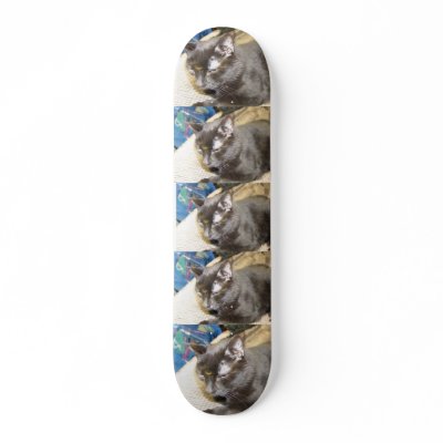 pagan the cat Skateboard by TylerJMSullivanFilms