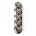 pagan the cat Skateboard