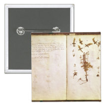Page 24 from a Herbarium Button