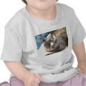 Pagen The Cat Baby Shirt by TylerJMSullivanFilms Pagen The Cat Baby Shirt
