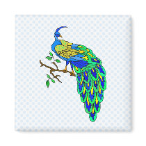 Pagiel Peacock magnets