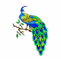 Pagiel Peacock photo sculptures