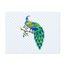 Pagiel Peacock postcards by BisforBirds Pagiel Peacock postcards