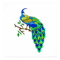 Pagiel Peacock posters by BisforBirds Pagiel Peacock posters
