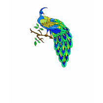 Pagiel Peacock t-shirts