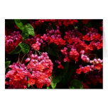Pagoda Flowers Floral Card