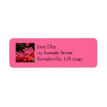 Pagoda Flowers Return Address Label