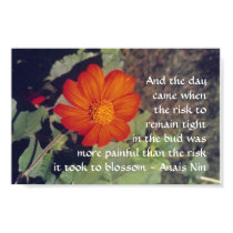 Pain and Risk - Anais Nin - poster posters