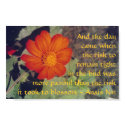 Pain and Risk - Anais Nin - poster print