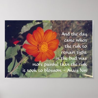 Pain and Risk - Anais Nin - poster