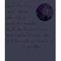 Pain and Risk - Anais Nin - shirt