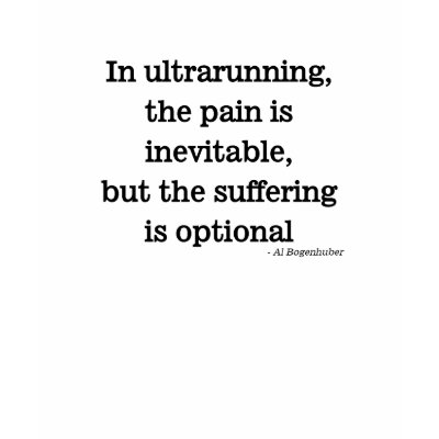 quotes about pain and suffering. Pain is inevitable quote t