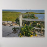Paine's Creek posters