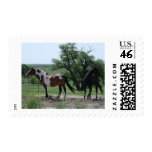 Paint and Black Horses postage
