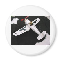 Paint  and Photo Colette .Private Object Fridge Magnets