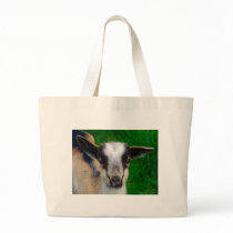 Paint Bag