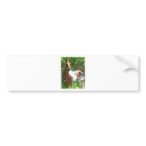 Paint Bath Bumper Sticker