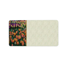 Paint Box Labels