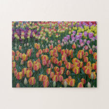 Paint Box puzzle
