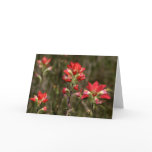 Paint Brush Cards