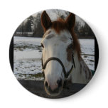 Paint Button