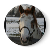 Paint Button