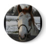 Paint Button